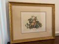 Antique French Fruit Still Life Lithograph by A. Pascal, c. 1860's-1880's