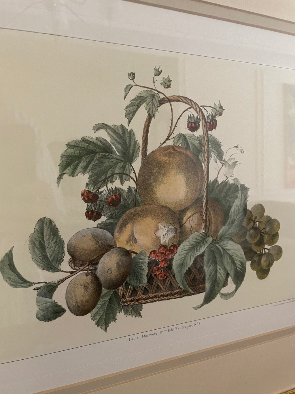 Antique French Fruit Still Life Lithograph by A. Pascal, c. 1860's-1880's