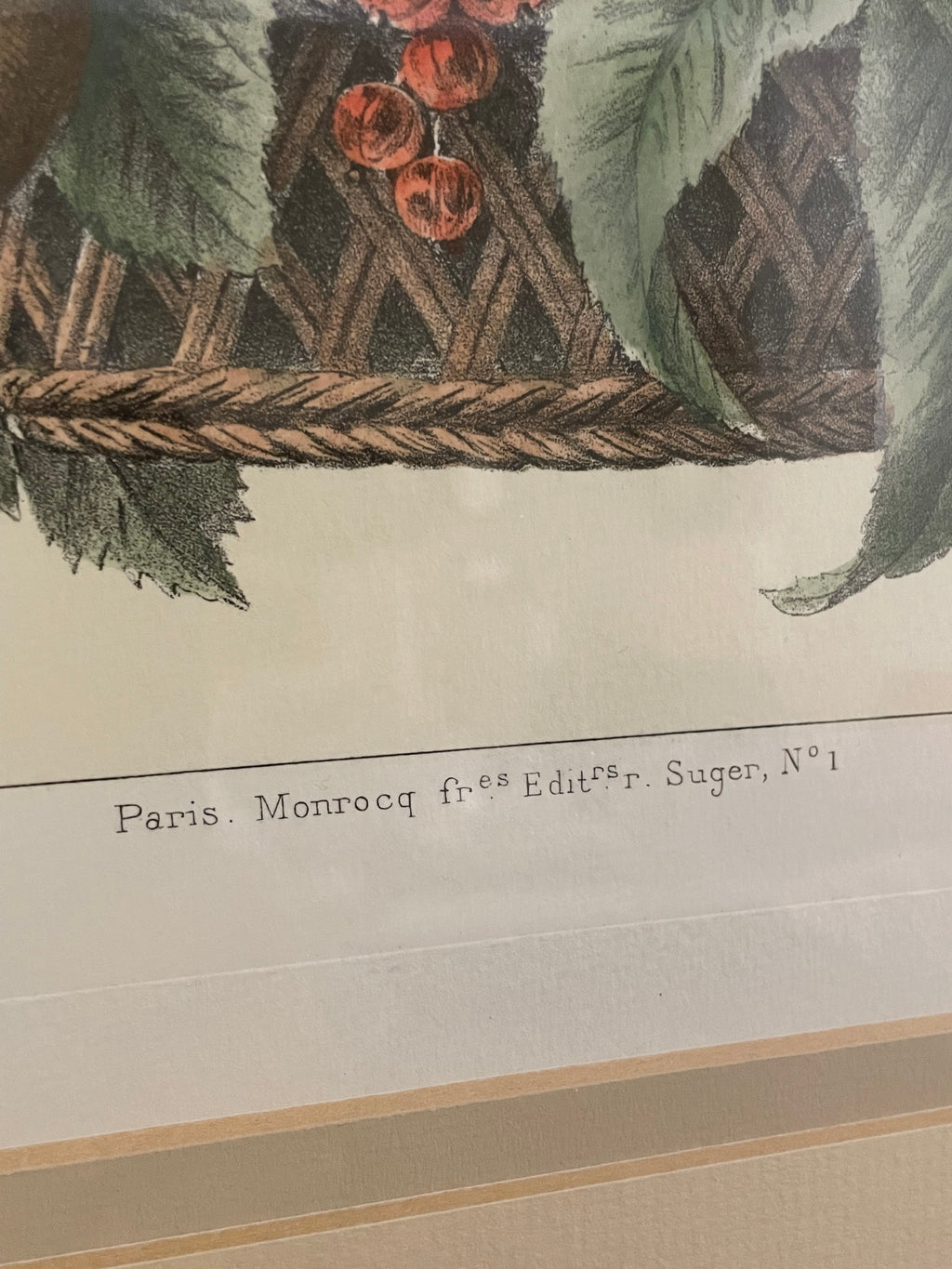 Antique French Fruit Still Life Lithograph by A. Pascal, c. 1860's-1880's