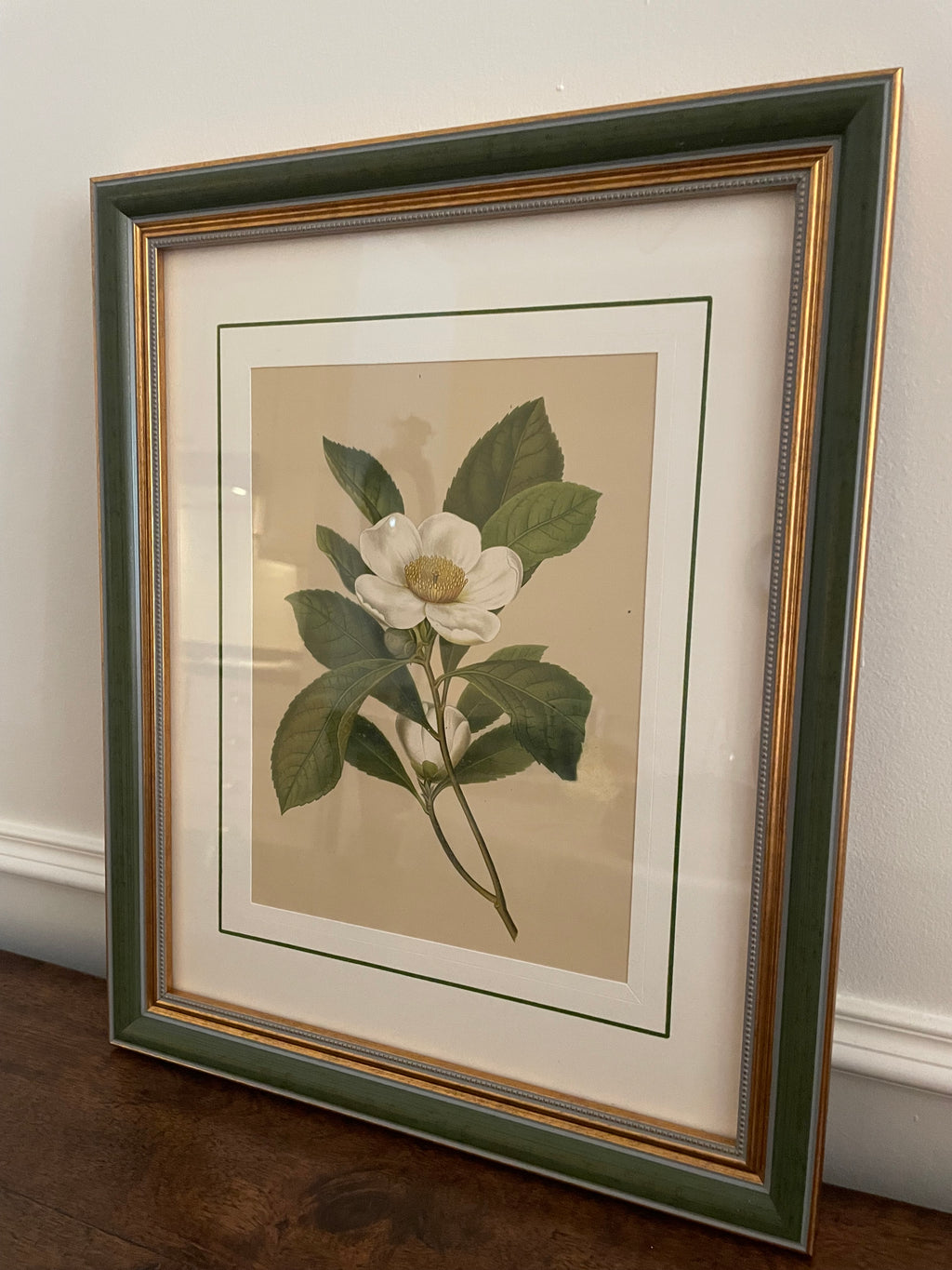 1882 Isaac Sprague White Bay Botanical Chromolithograph