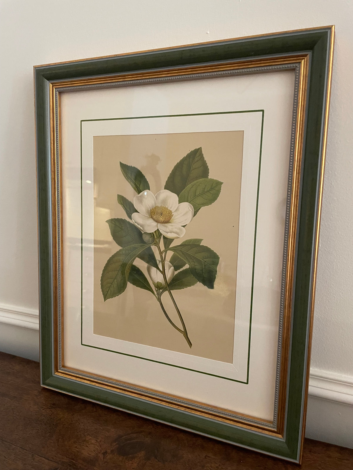 1882 Isaac Sprague White Bay Botanical Chromolithograph